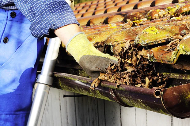 Residential gutter in Pennsauken, NJ affected by environmental debris, leaves, and buildup while a professional performs a detailed gutter inspection.