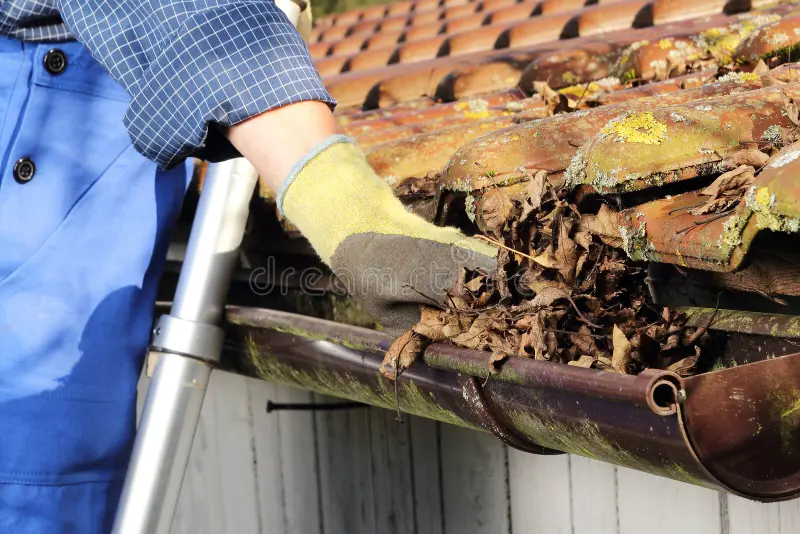 Professional performing gutter cleaning on a residential property in Pennsauken, NJ