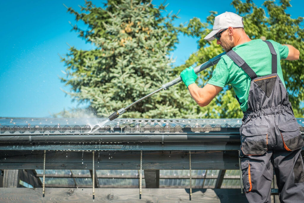 Professional Roof Power Washing Services